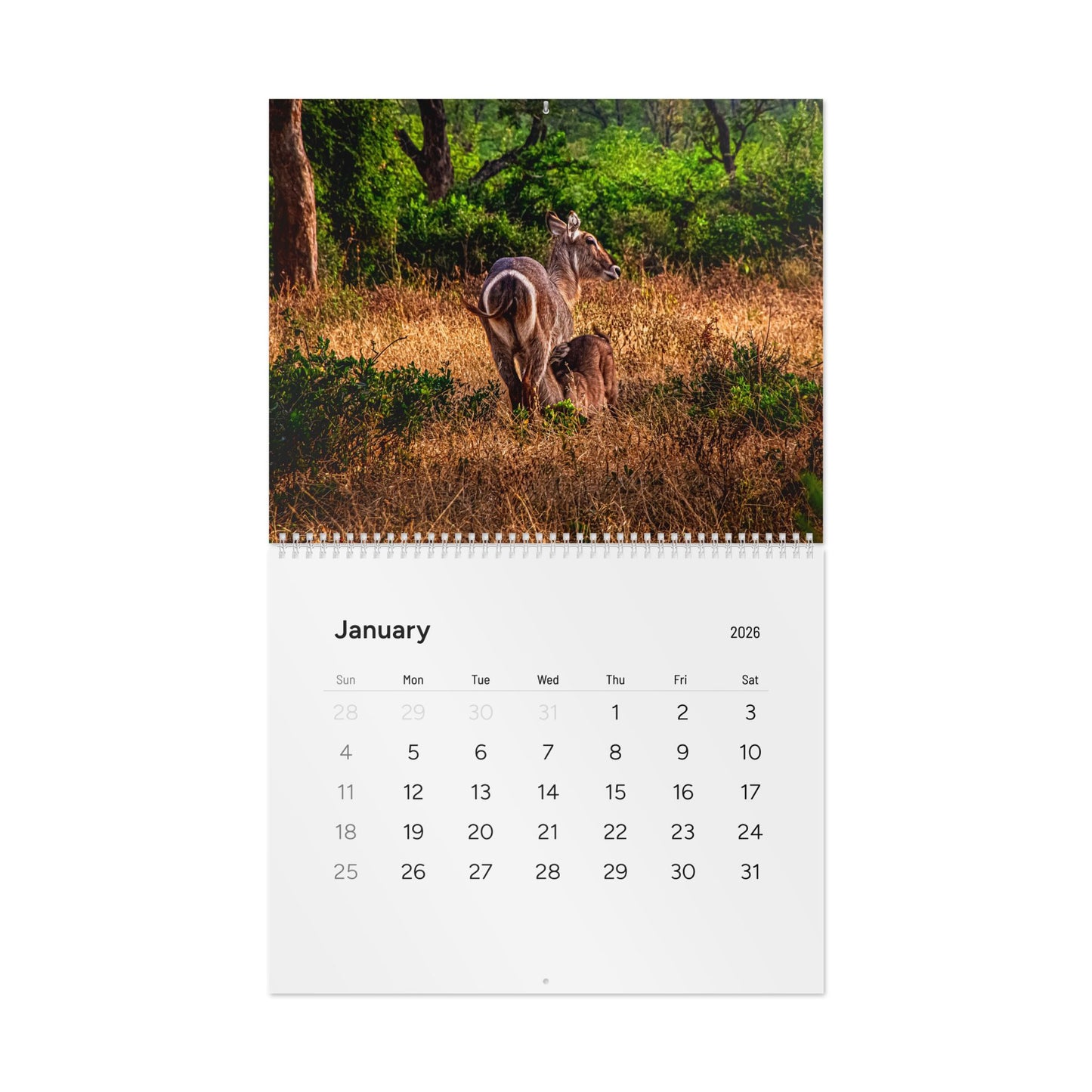 2026 Nature Wildlife Wall Calendar 13.7" x 11" Matte