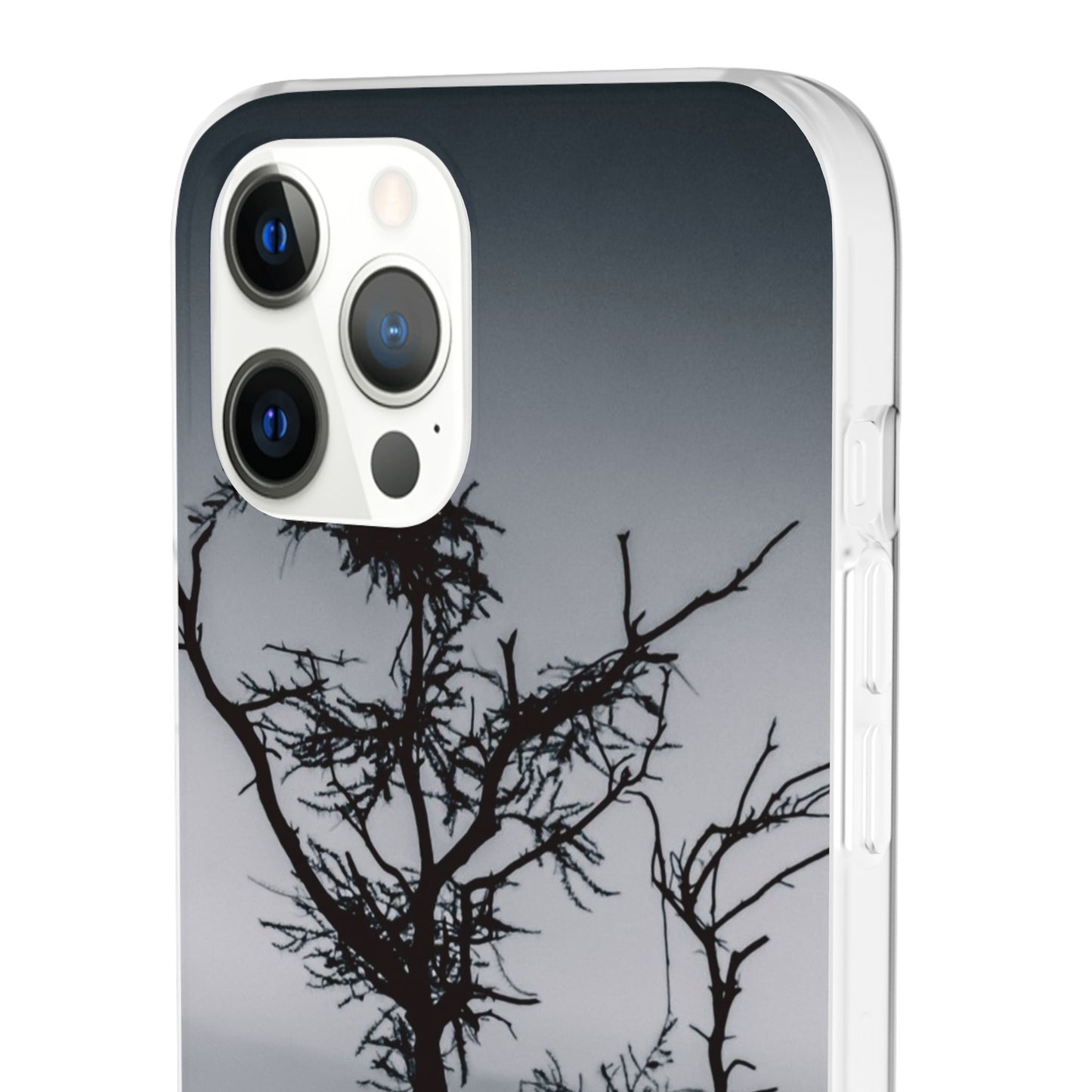 Kalahari Sunset Phone Case B&W