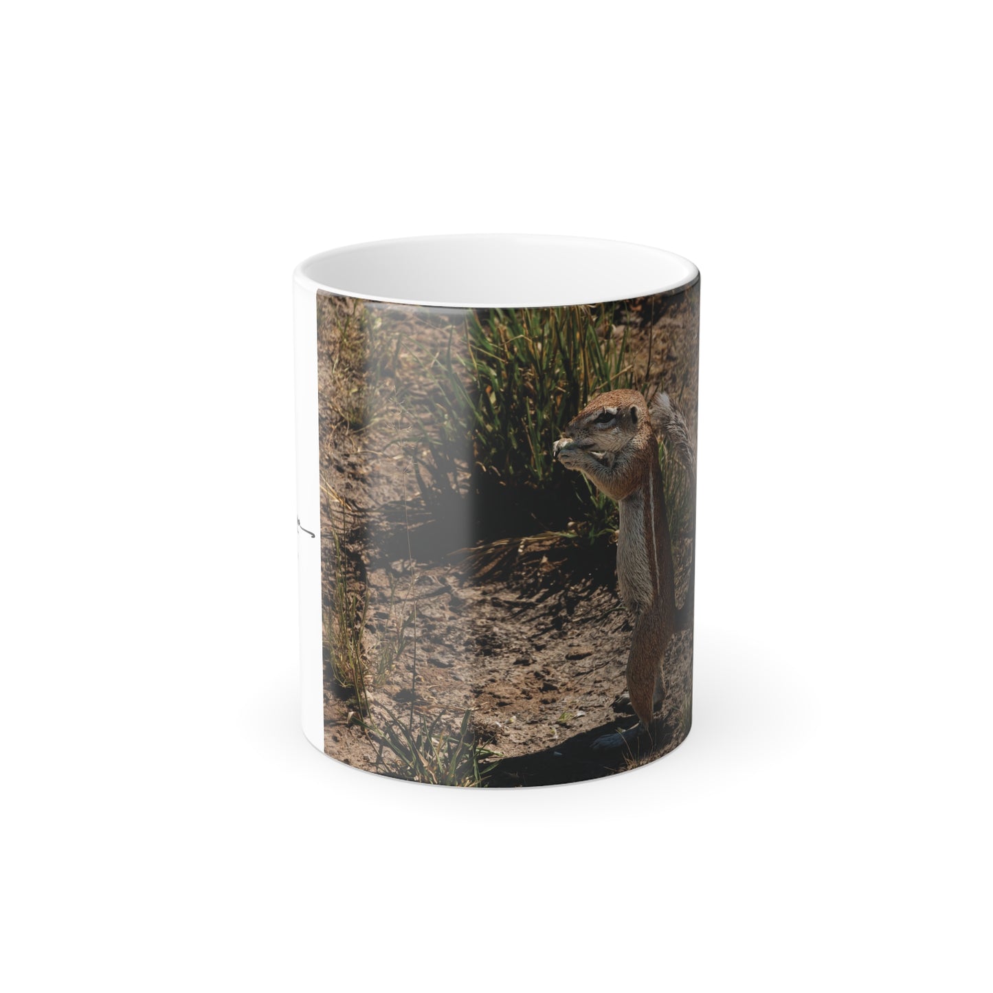 Colour Morphing Mug, 11oz - Ground Squirrel