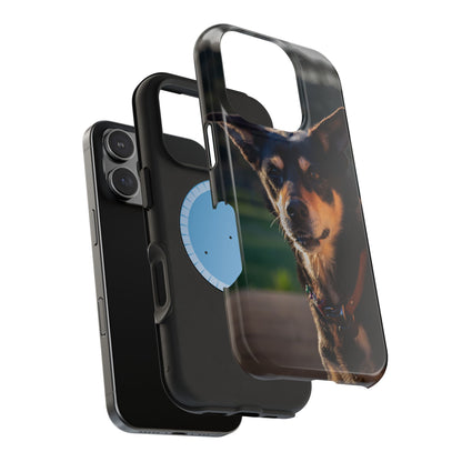 Magsafe® Compatible Tough Cases - Saba The Kelpie