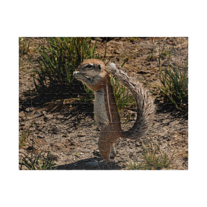 Puzzle (110, 252, 520, 1014-piece) - Ground Squirrel