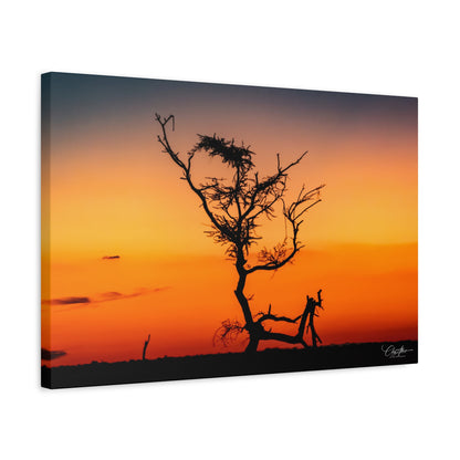 Matte Canvas, Stretched, 1.25" - Sunset over the Kalahari