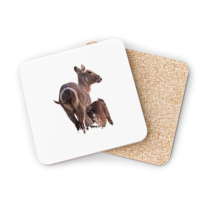 Waterbuck Baby Animal Coasters Square 3.7" x 3.7" 1pc