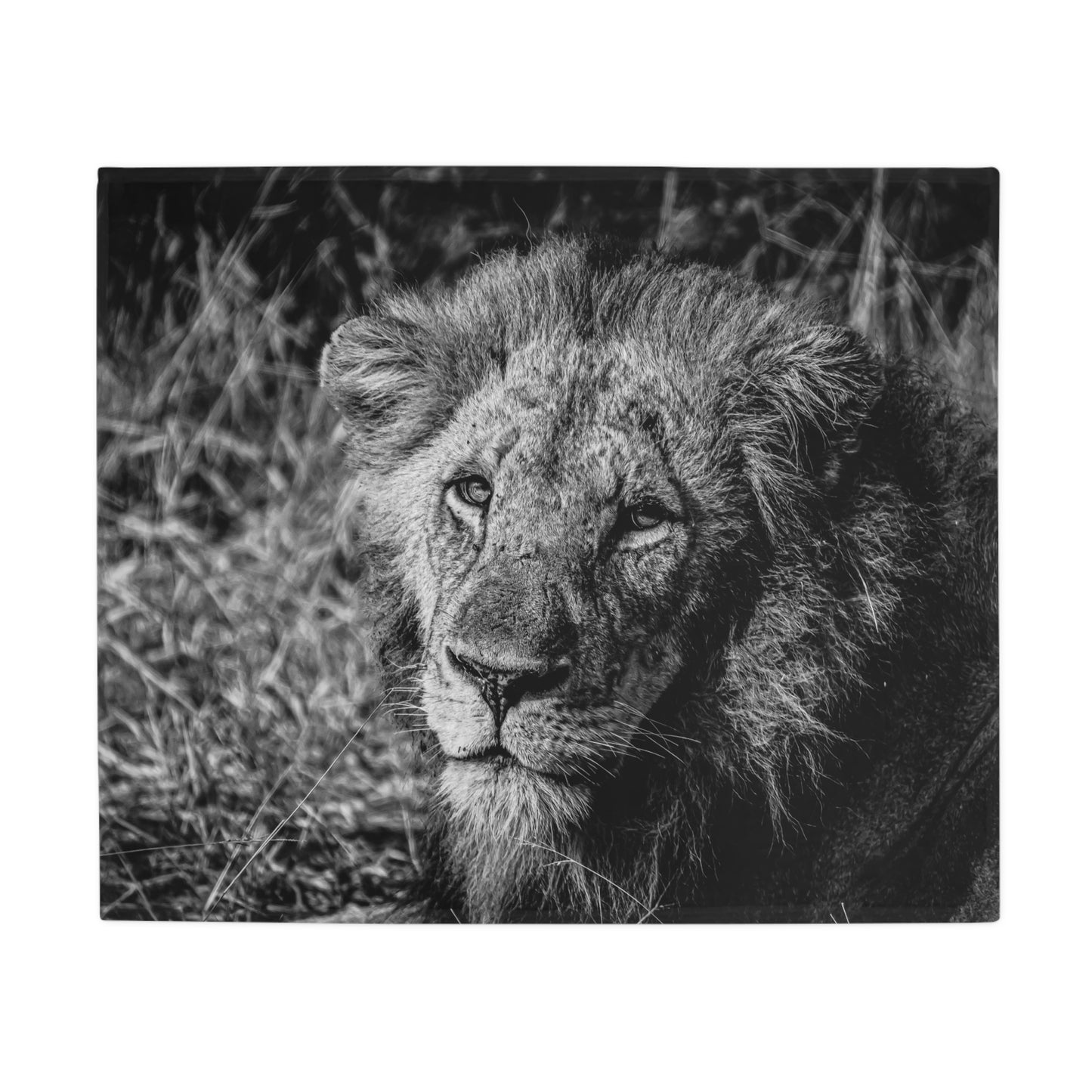 Lion Fleece Blanket B&W 50" × 60"