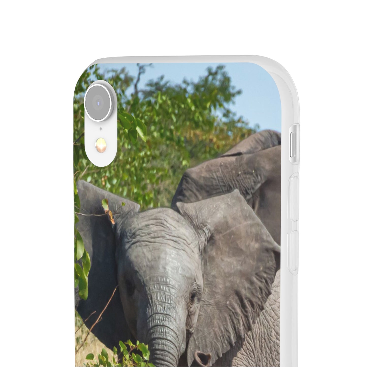 Flexi Cases - Young Elephant