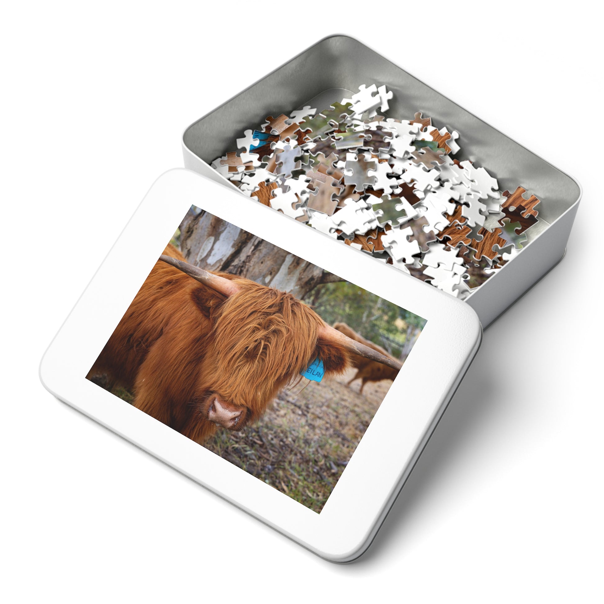 Scottish Highland Cattle Puzzle with Tin