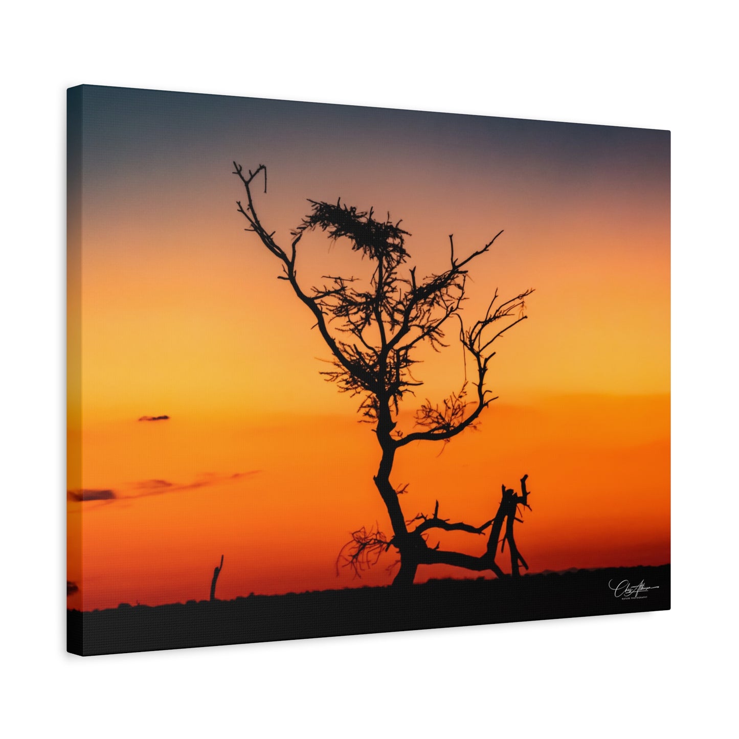 Matte Canvas, Stretched, 1.25" - Sunset over the Kalahari