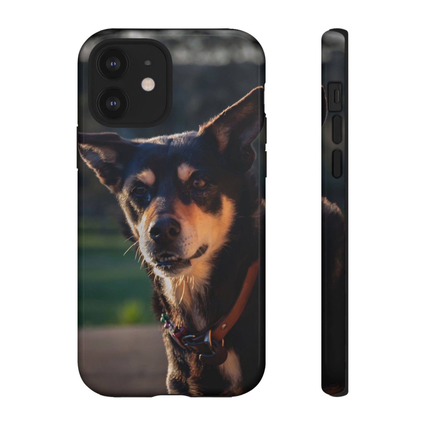 Tough Case - Saba the Kelpie iPhone 12 Glossy