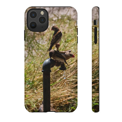 Tough Case - Birds at A Dripping Tap iPhone 11 Pro Max Glossy