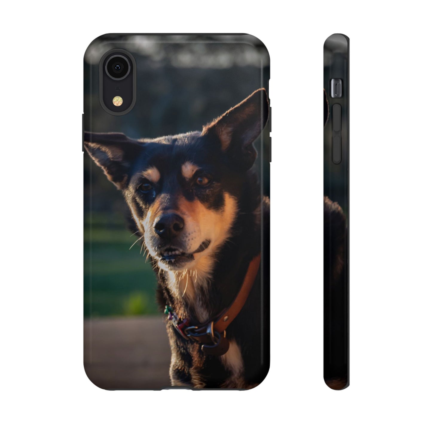 Tough Case - Saba the Kelpie iPhone XR Glossy