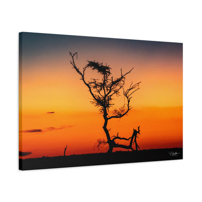 Matte Canvas, Stretched, 1.25" - Sunset over the Kalahari