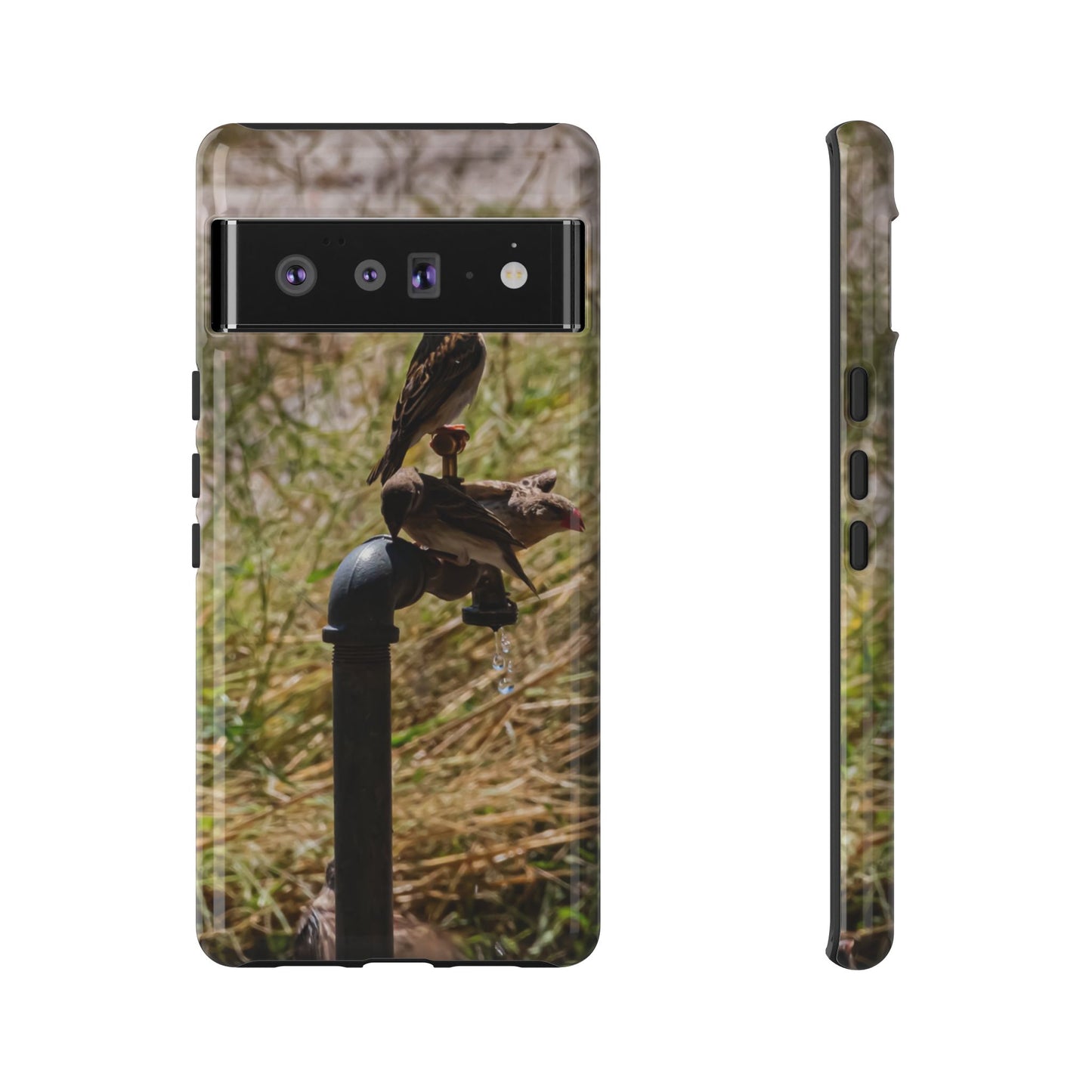 Tough Case - Birds at A Dripping Tap Google Pixel 6 Pro Glossy