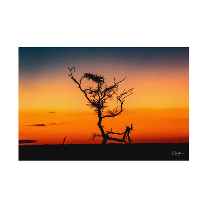 Rolled Posters - Sunset over the Kalahari