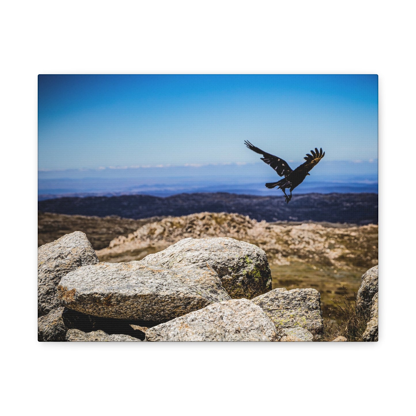 Little Raven Mt Kosciuszko Canvas Print 14″ x 11″ (Horizontal) 1.25"