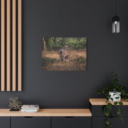 Matte Canvas, Stretched, 1.25" - Waterbuck and Baby