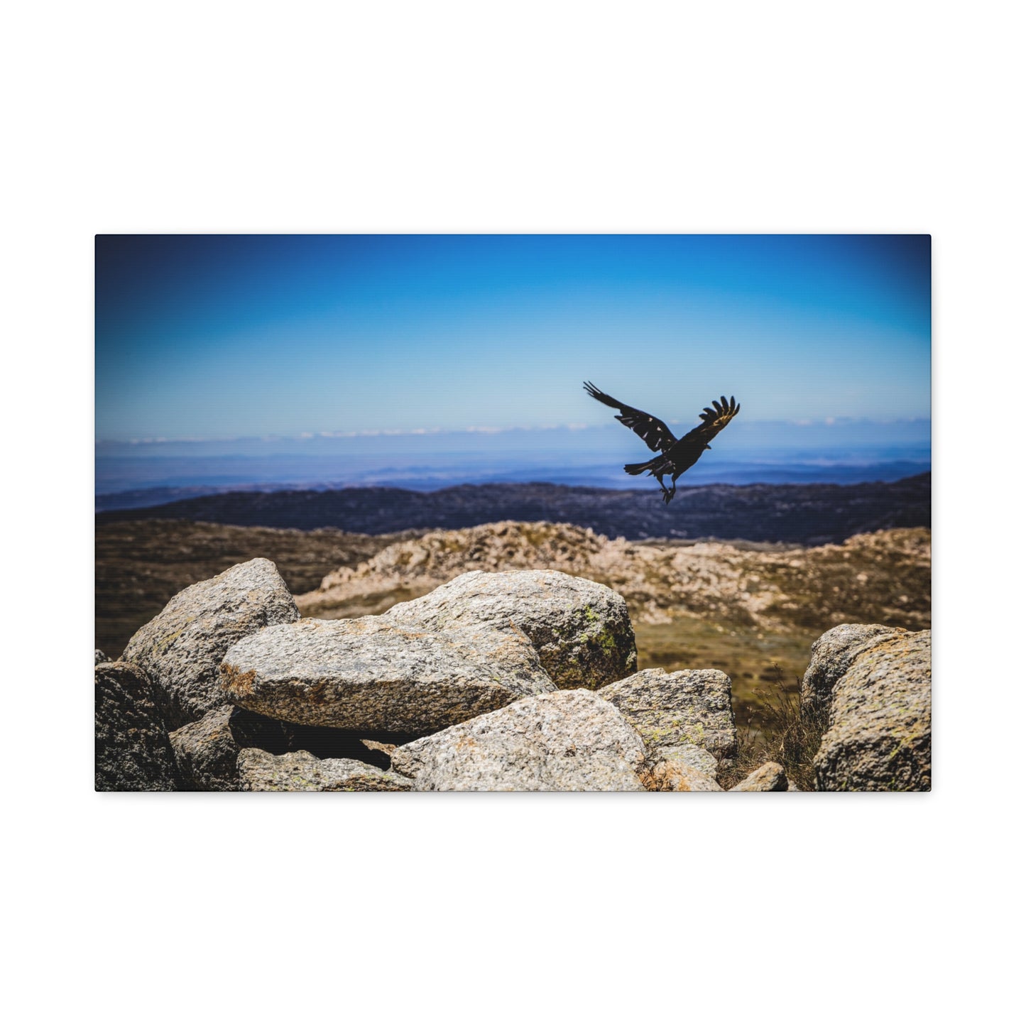 Little Raven Mt Kosciuszko Canvas Print 24″ x 16″ (Horizontal) 1.25"