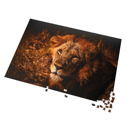 Majestic Old Lion Jigsaw Puzzle with Tin