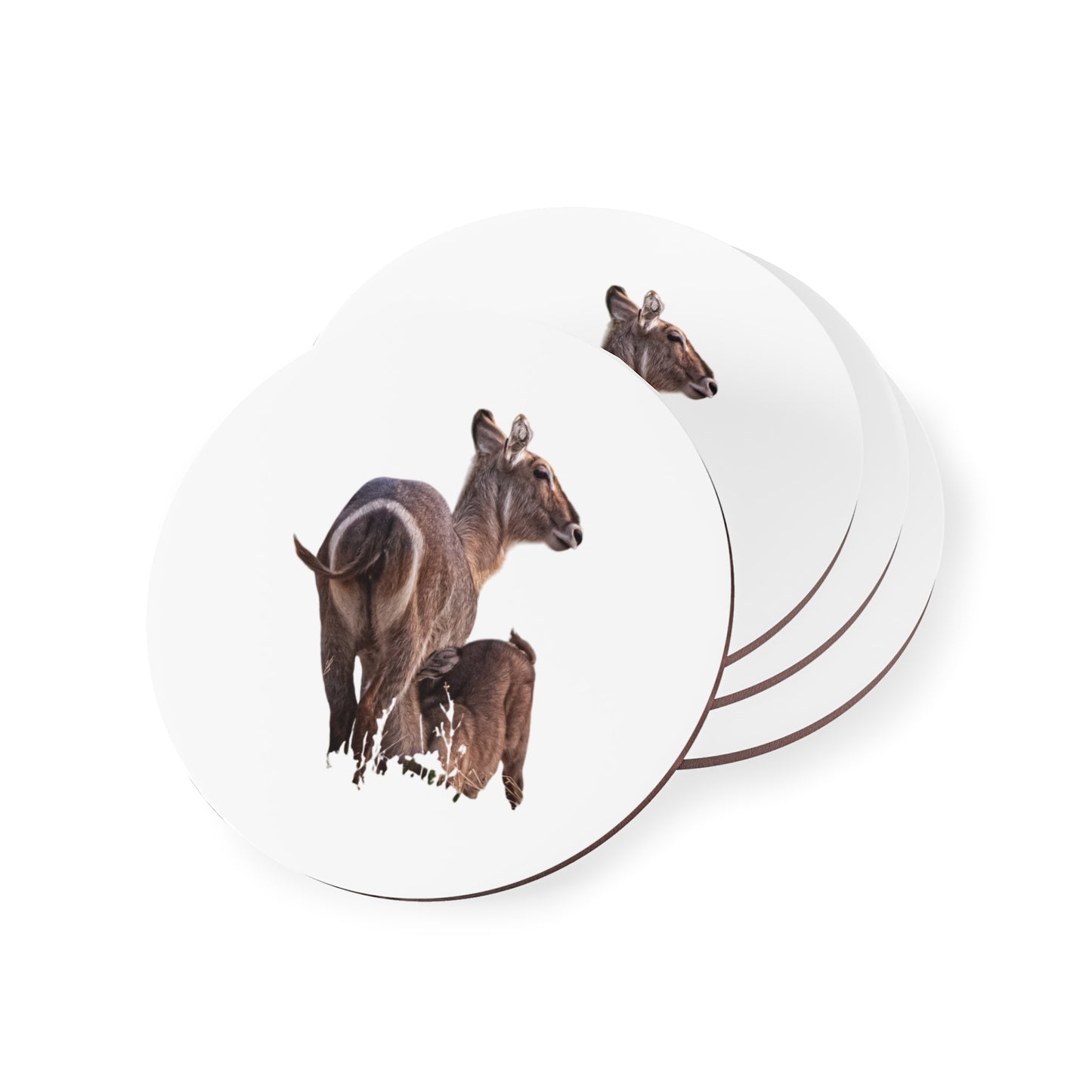 Waterbuck Baby Animal Coasters Round 3.7" x 3.7" 4pcs