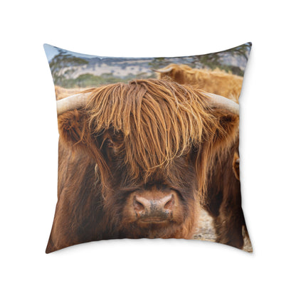 Highland Cattle Pillow 26" × 26"