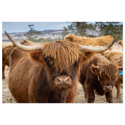 Scottish Highland Cattle Puzzle with Tin