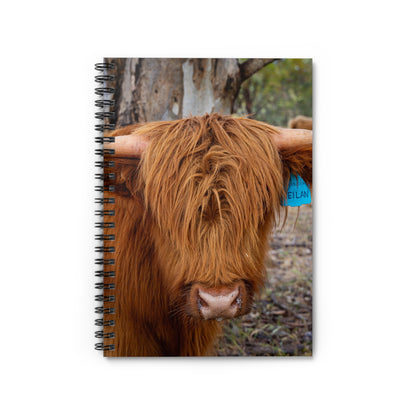 Spiral Notebook - Ruled Line - Scottish Highland Cattle