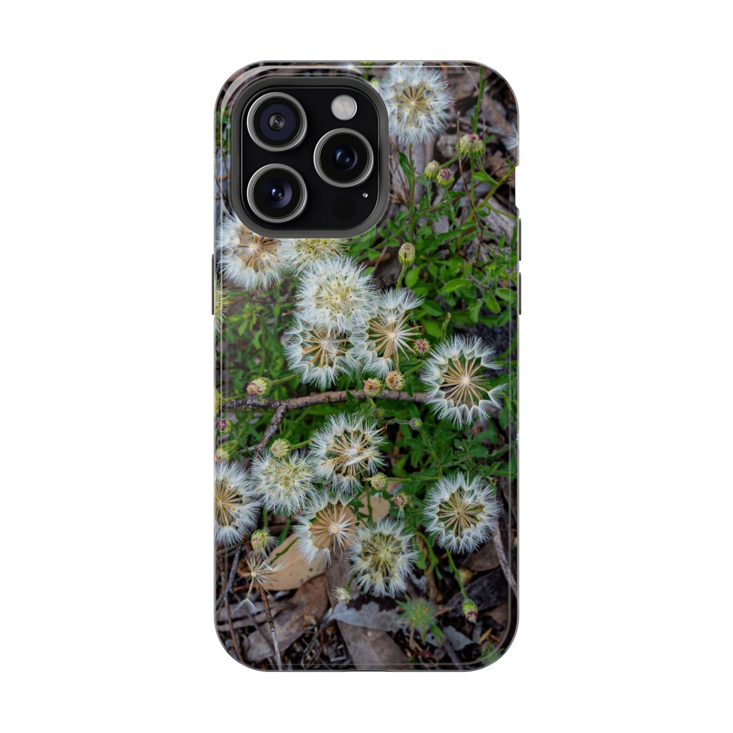 Magsafe® Compatible Tough Cases - Australian Wildflower Collection