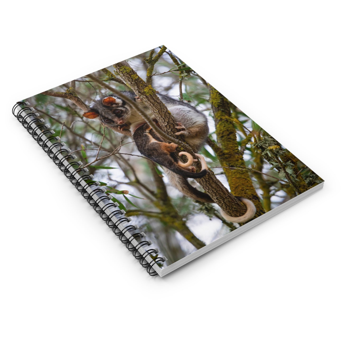 Spiral Notebook - Ruled Line - Possum and Joeys