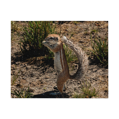 Ground Squirrel Jigsaw Puzzle with Tin 10" × 8" (30 pcs)