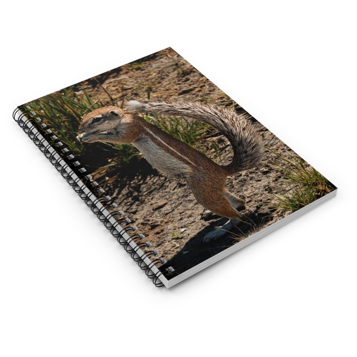 Spiral Notebook - Ruled Line - Ground Squirrel