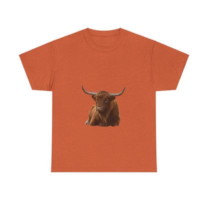 Highland Cattle Tee Antique Orange