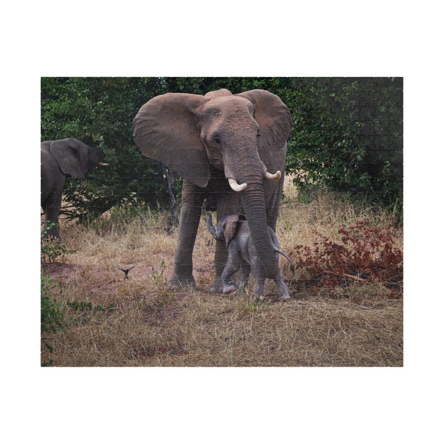 Puzzle (110, 252, 520, 1014-piece) - Elephant and Baby