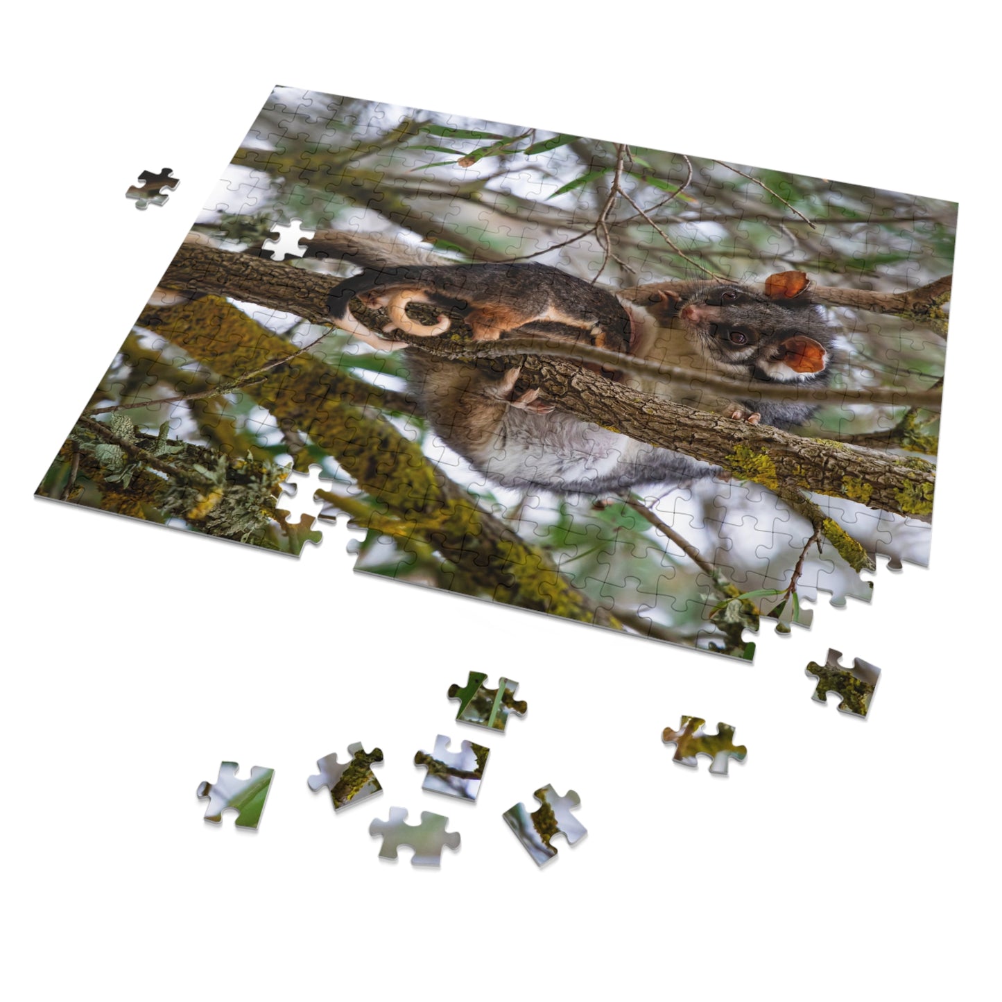 Jigsaw Puzzle (30, 110, 252, 500, 1000 Piece) - Possum and Joeys