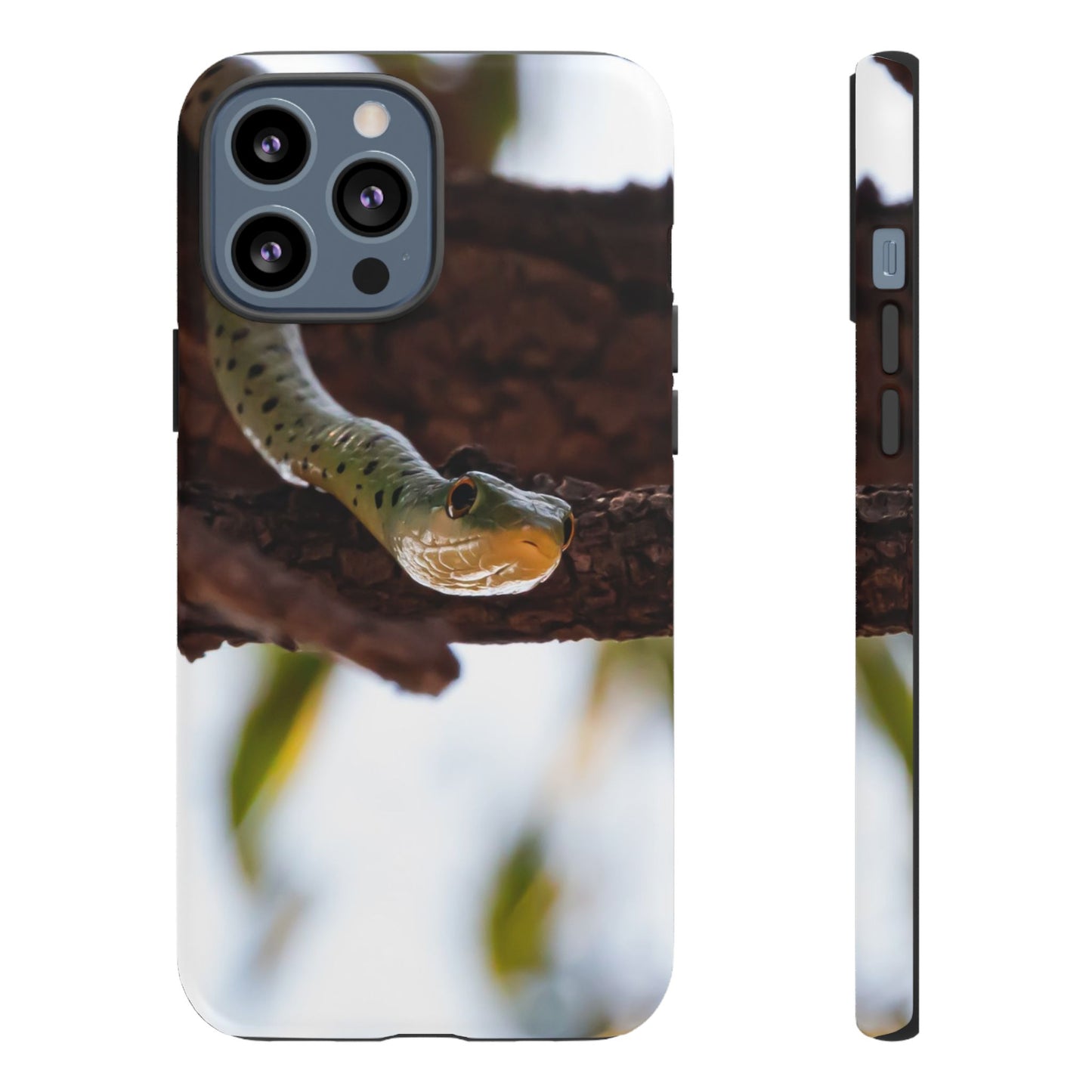 Tough Case - Spotted Bush Snake