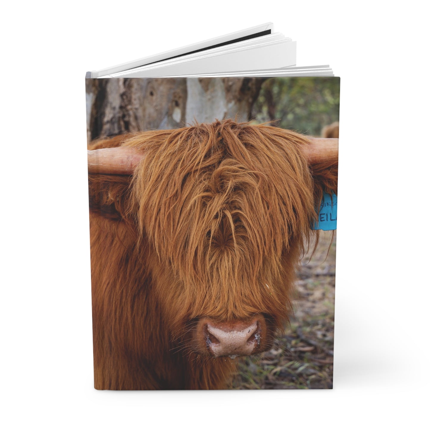 Hardcover Journal Matte - Scottish Highland Cattle