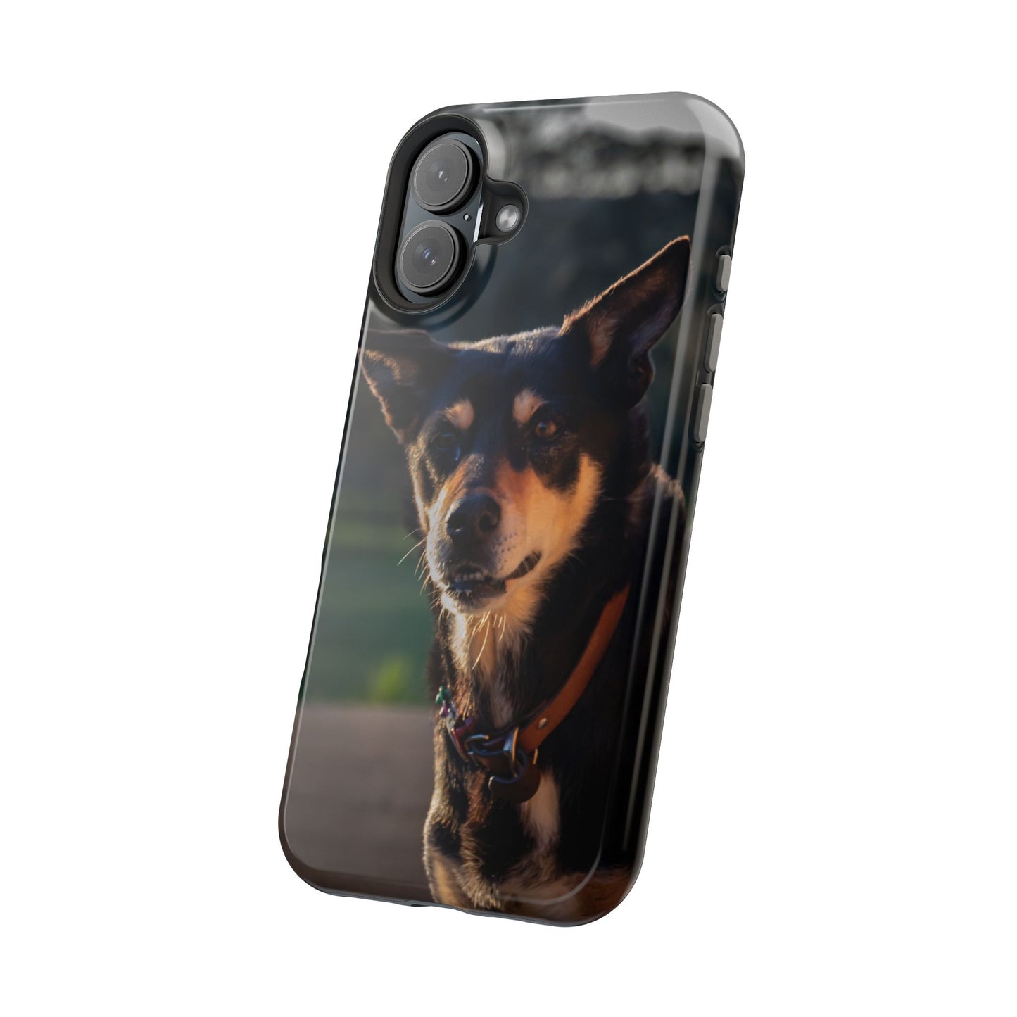 Magsafe® Compatible Tough Cases - Saba The Kelpie