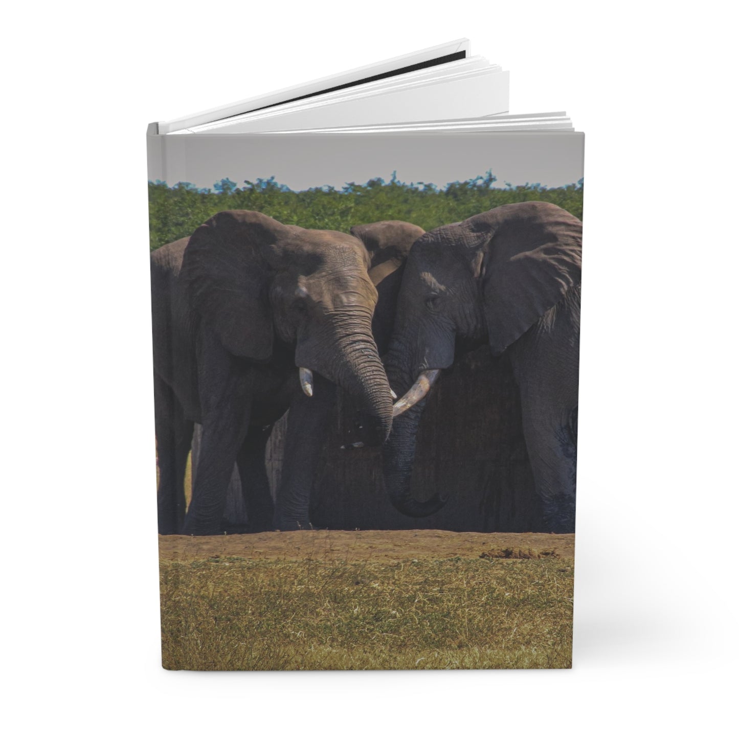 Hardcover Journal Matte - Elephant Friends