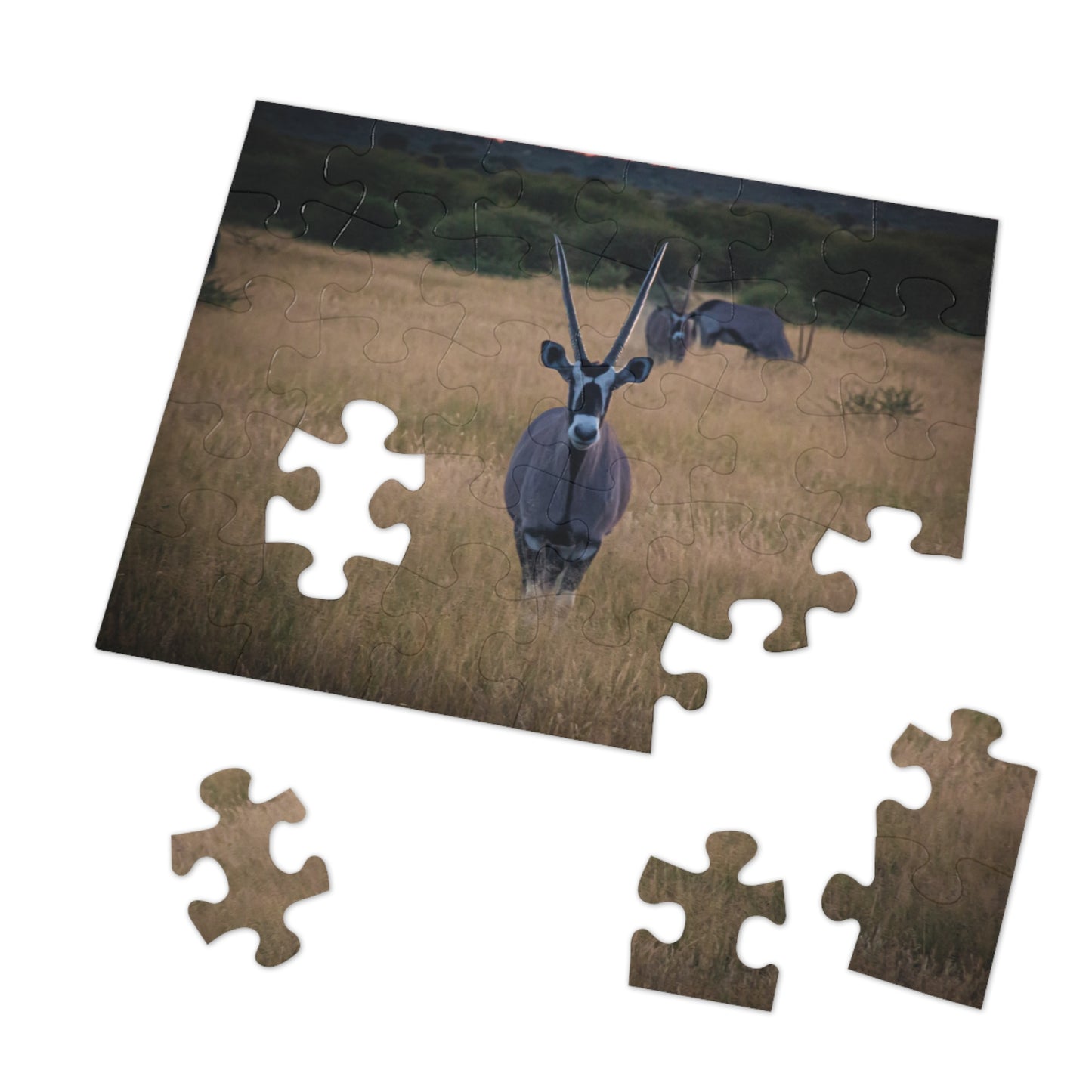 Jigsaw Puzzle (30, 110, 252, 500 Piece) - Gemsbok