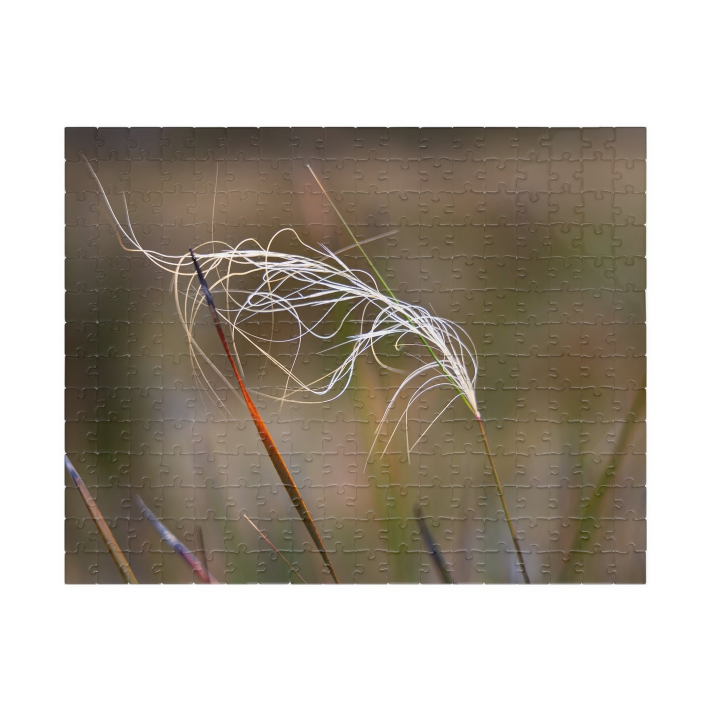 Australian Wildflower Jigsaw Puzzle 252 pcs (Horizontal)