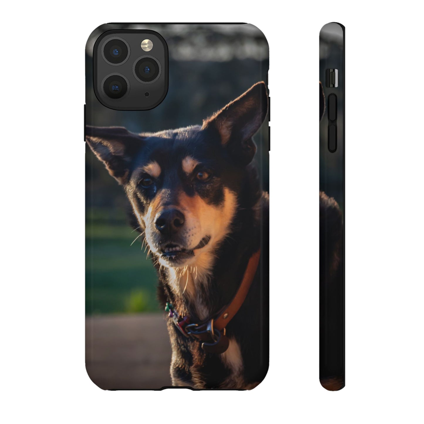 Tough Case - Saba the Kelpie iPhone 11 Pro Max Glossy