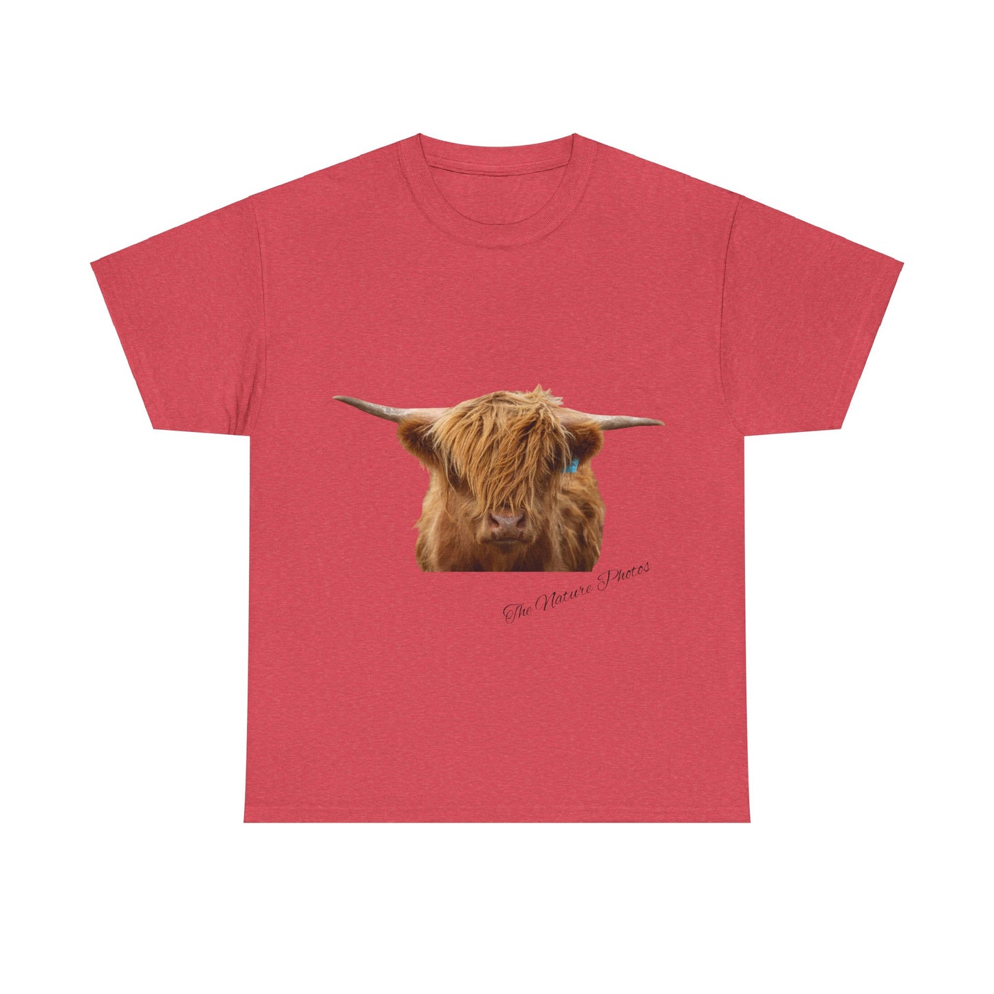 Highland Cow Tee Heather Red