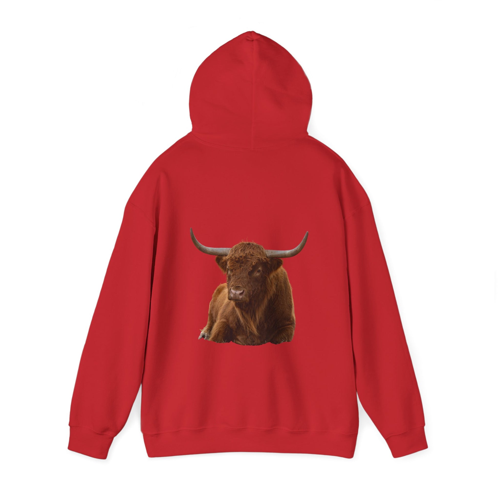 Highland Cattle Hoodie