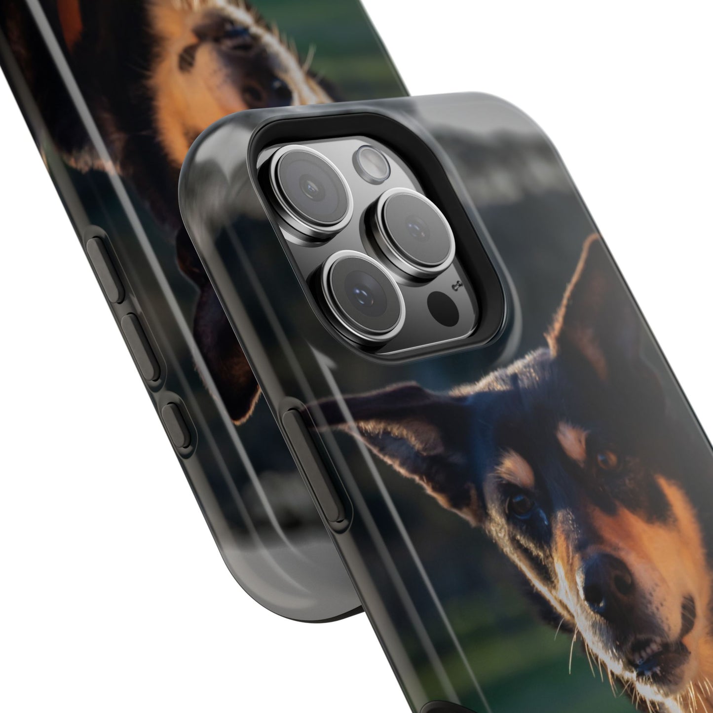 Magsafe® Compatible Tough Cases - Saba The Kelpie