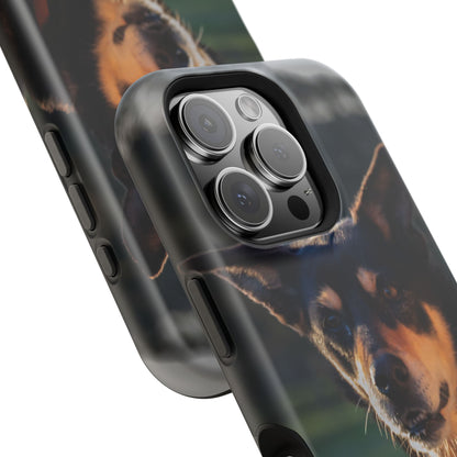 Magsafe® Compatible Tough Cases - Saba The Kelpie