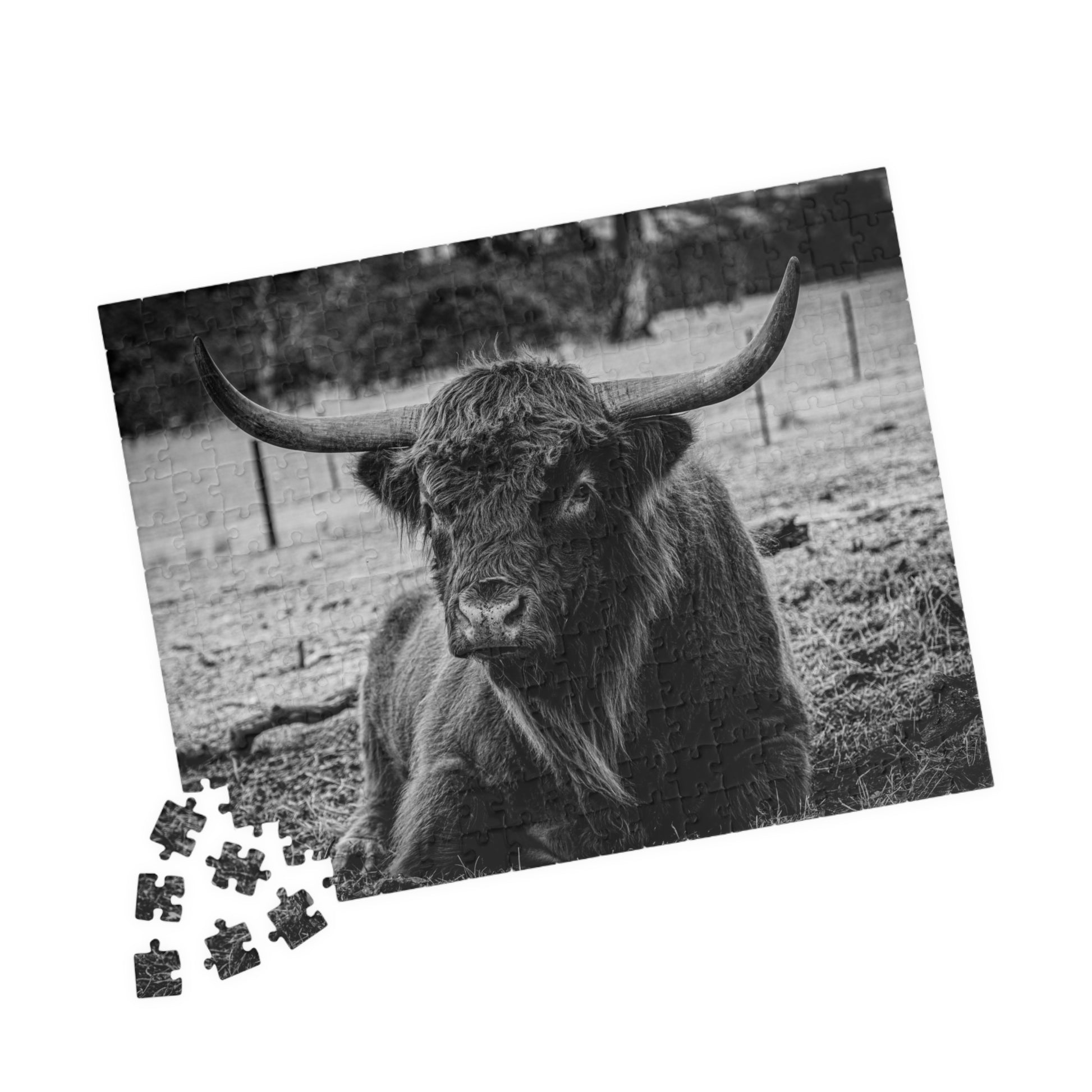 Scottish Highland Cattle Puzzle B&W