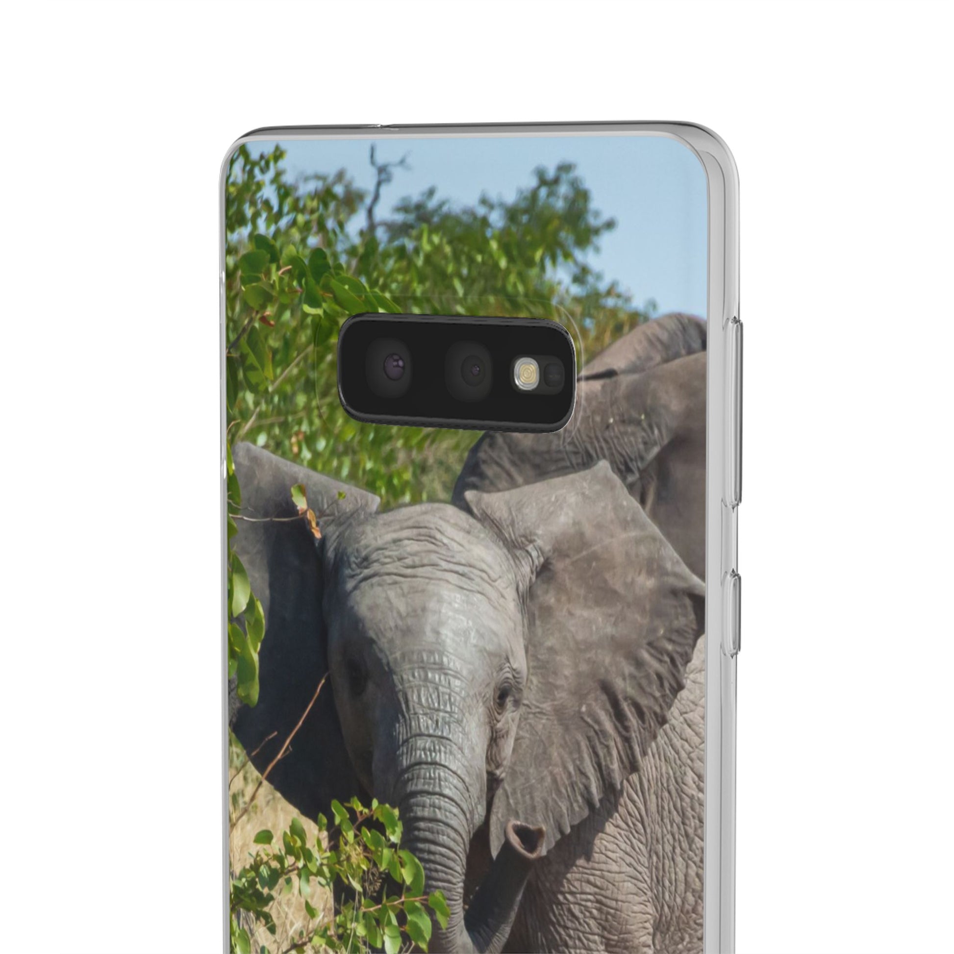 Flexi Cases - Young Elephant