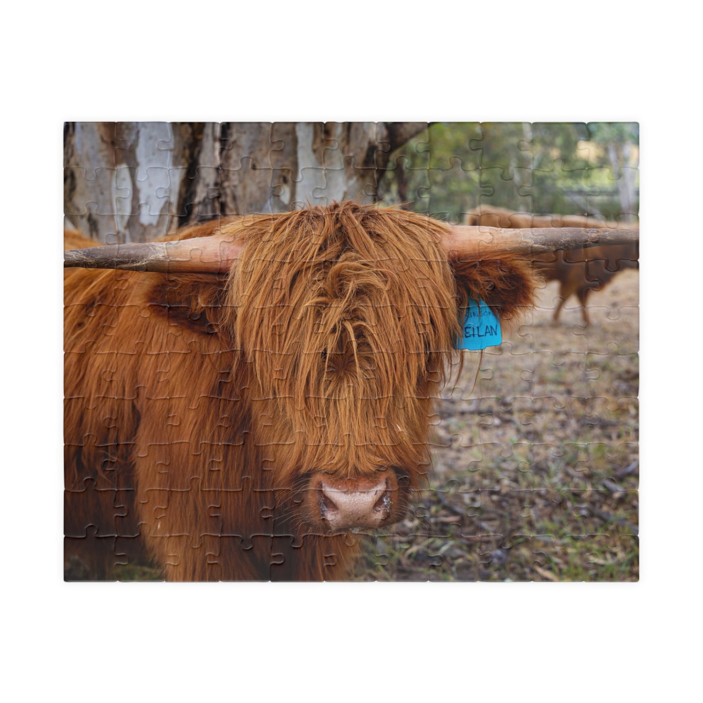 Scottish Highland Cattle Puzzle 110 pcs (Horizontal)