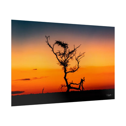 Rolled Posters - Sunset over the Kalahari