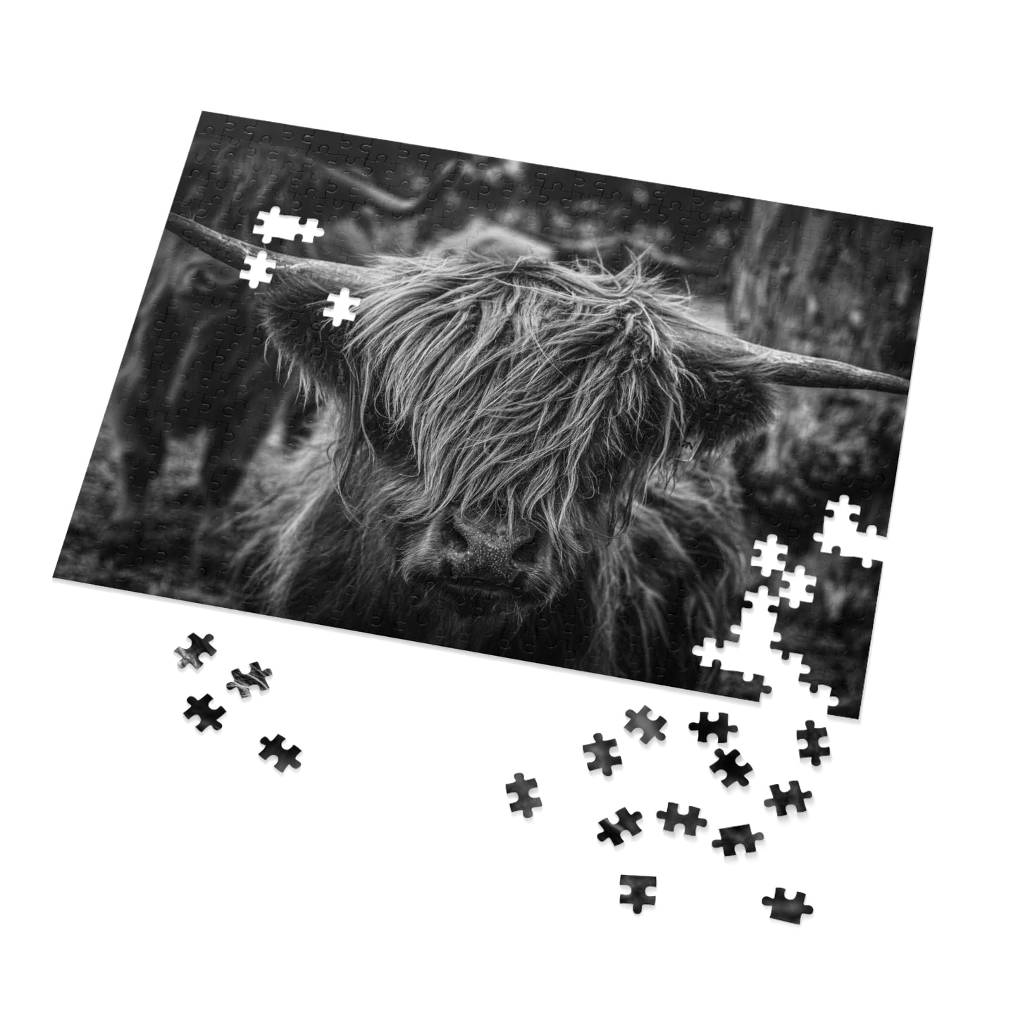 Scottish Highland Cattle Puzzle with Tin B&W