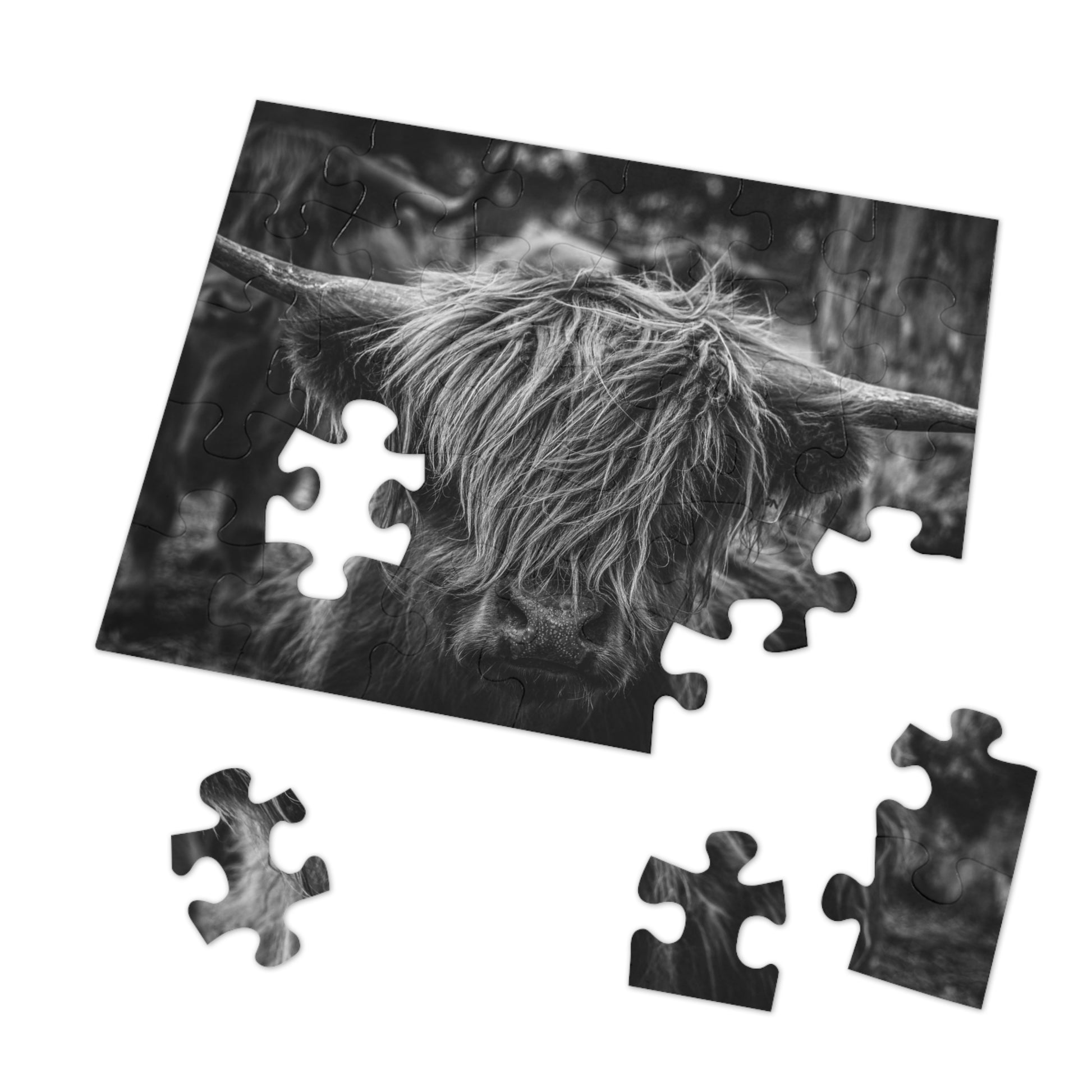 Scottish Highland Cattle Puzzle with Tin B&W