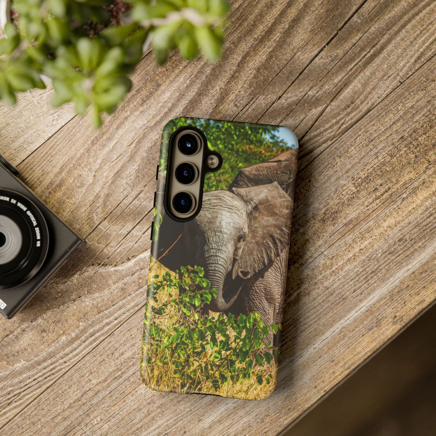 Tough Case - Young Elephant